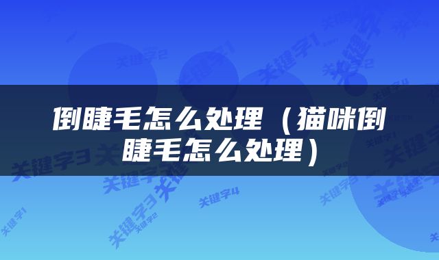 倒睫毛怎么处理（猫咪倒睫毛怎么处理）
