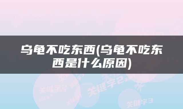 乌龟不吃东西(乌龟不吃东西是什么原因)