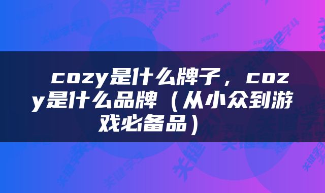  cozy是什么牌子，cozy是什么品牌（从小众到游戏必备品） 