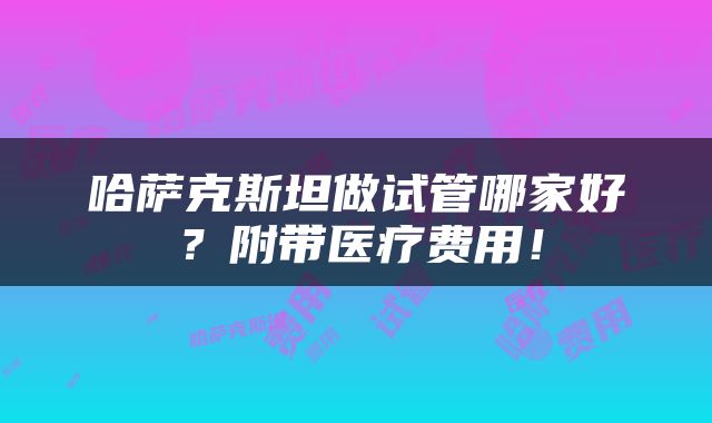 哈萨克斯坦做试管哪家好？附带医疗费用！