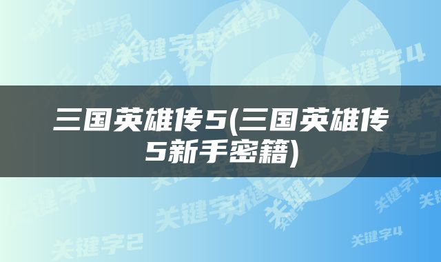三国英雄传5(三国英雄传5新手密籍)