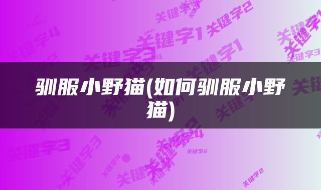 驯服小野猫(如何驯服小野猫)