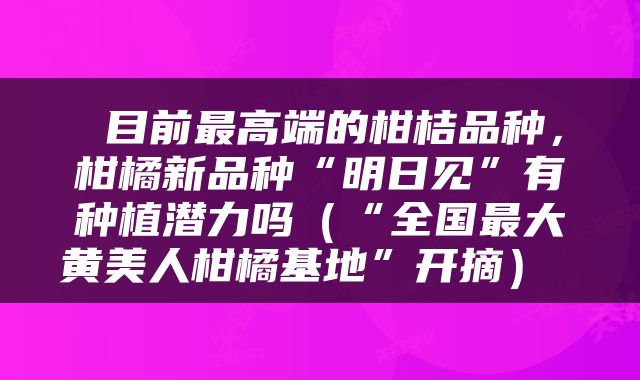  目前最高端的柑桔品种，柑橘新品种“明日见”有种植潜力吗（“全国最大黄美人柑橘基地”开摘） 