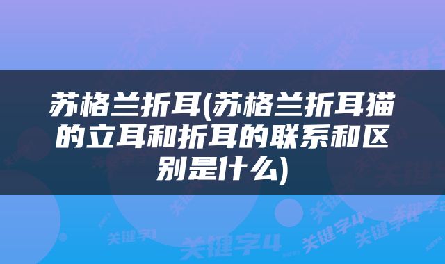 苏格兰折耳(苏格兰折耳猫的立耳和折耳的联系和区别是什么)