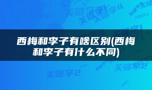 西梅和李子有啥区别(西梅和李子有什么不同)