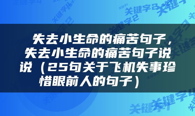  失去小生命的痛苦句子，失去小生命的痛苦句子说说（25句关于飞机失事珍惜眼前人的句子） 