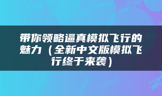 带你领略逼真模拟飞行的魅力（全新中文版模拟飞行终于来袭）
