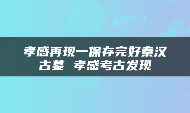 孝感再现一保存完好秦汉古墓 孝感考古发现