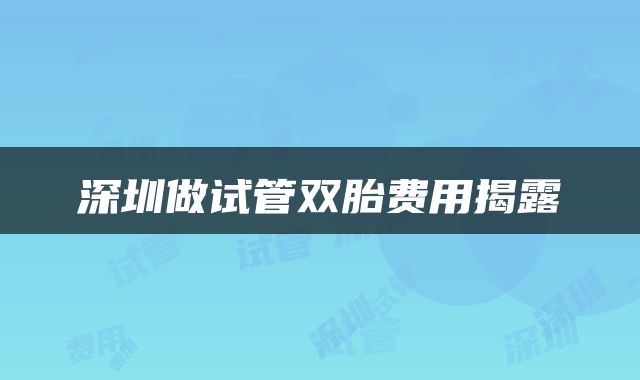 深圳做试管双胎费用揭露