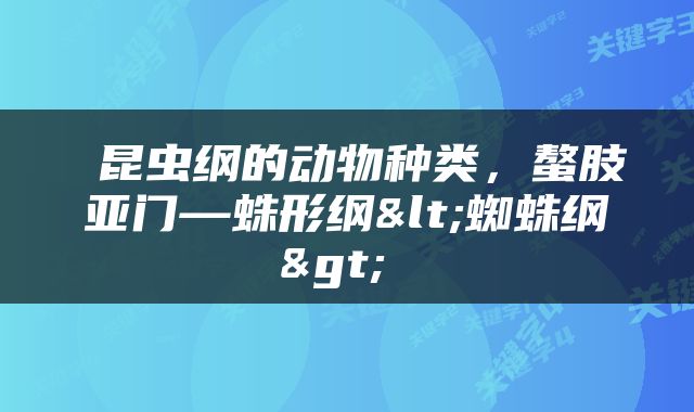  昆虫纲的动物种类，螯肢亚门—蛛形纲<蜘蛛纲> 