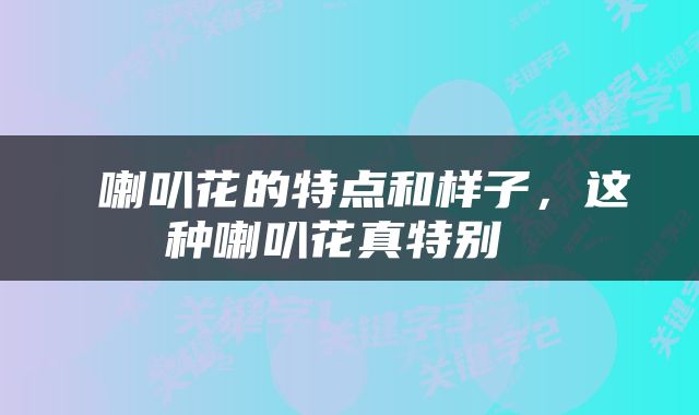  喇叭花的特点和样子，这种喇叭花真特别 