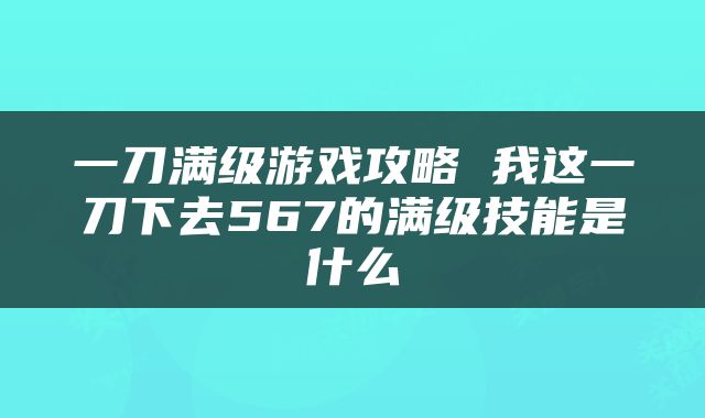 一刀满级游戏攻略 我这一刀下去567的满级技能是什么