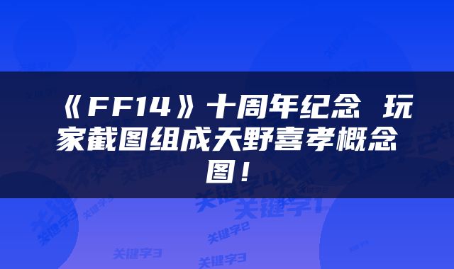 《FF14》十周年纪念 玩家截图组成天野喜孝概念图！