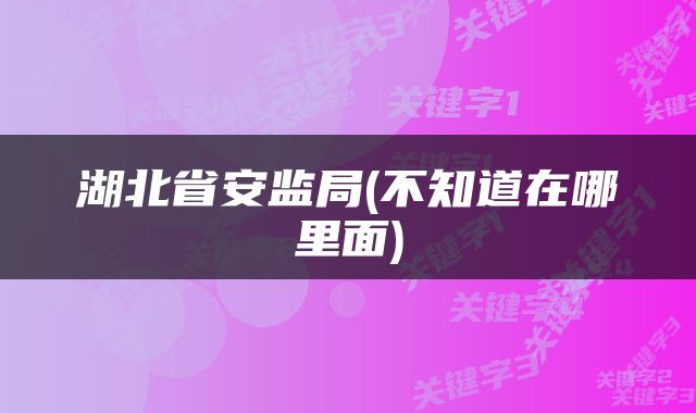 湖北省安监局(不知道在哪里面)