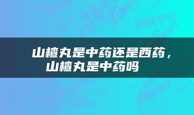  山楂丸是中药还是西药，山楂丸是中药吗 
