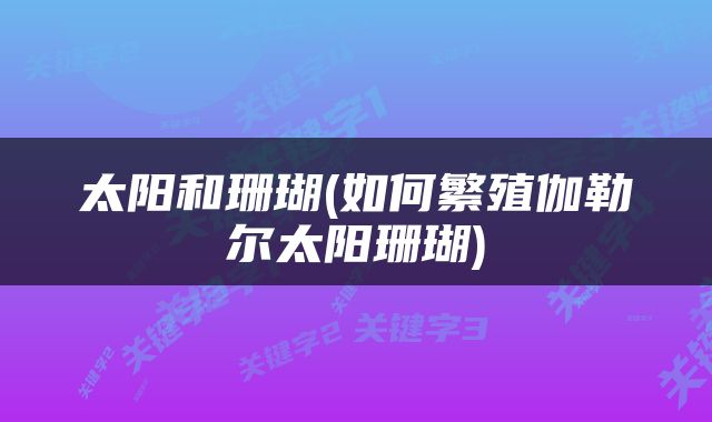 太阳和珊瑚(如何繁殖伽勒尔太阳珊瑚)