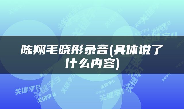 陈翔毛晓彤录音(具体说了什么内容)