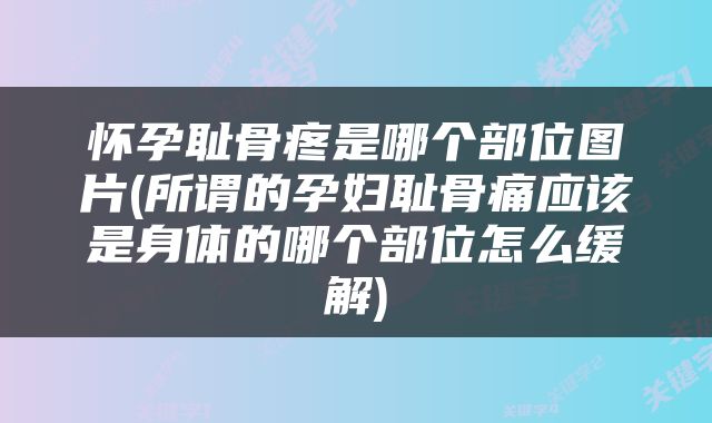 怀孕耻骨疼是哪个部位图片(所谓的孕妇耻骨痛应该是身体的哪个部位怎么缓解)