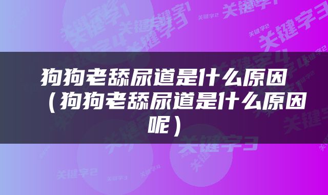 狗狗老舔尿道是什么原因（狗狗老舔尿道是什么原因呢）