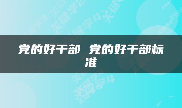 党的好干部 党的好干部标准