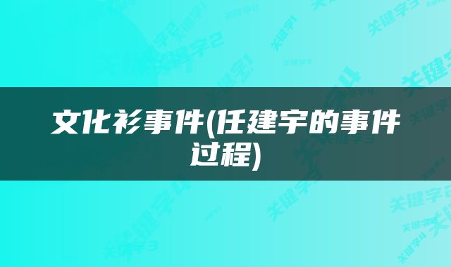 文化衫事件(任建宇的事件过程)