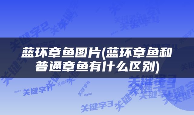 蓝环章鱼图片(蓝环章鱼和普通章鱼有什么区别)