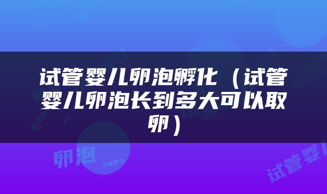 试管婴儿卵泡孵化（试管婴儿卵泡长到多大可以取卵）