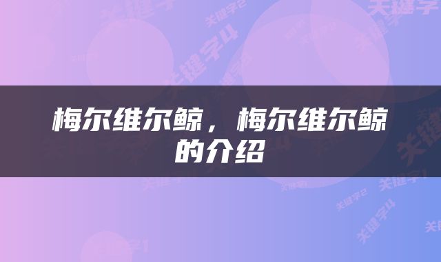 梅尔维尔鲸，梅尔维尔鲸的介绍