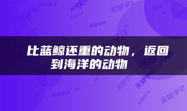  比蓝鲸还重的动物，返回到海洋的动物 