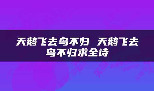 天鹅飞去鸟不归 天鹅飞去鸟不归求全诗
