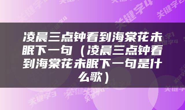 凌晨三点钟看到海棠花未眠下一句（凌晨三点钟看到海棠花未眠下一句是什么歌）