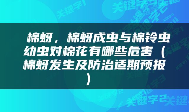  棉蚜，棉蚜成虫与棉铃虫幼虫对棉花有哪些危害（棉蚜发生及防治适期预报） 