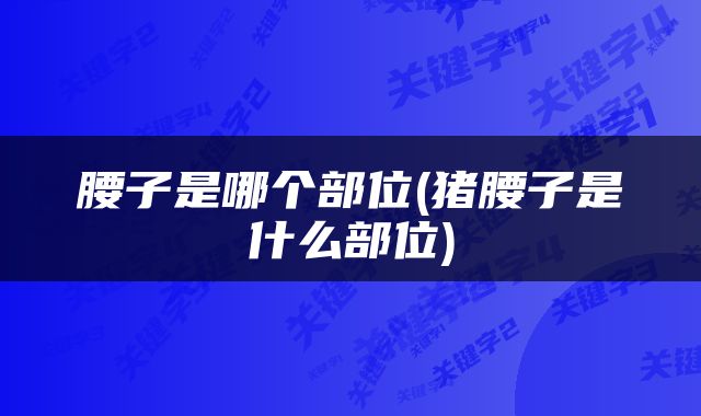 腰子是哪个部位(猪腰子是什么部位)