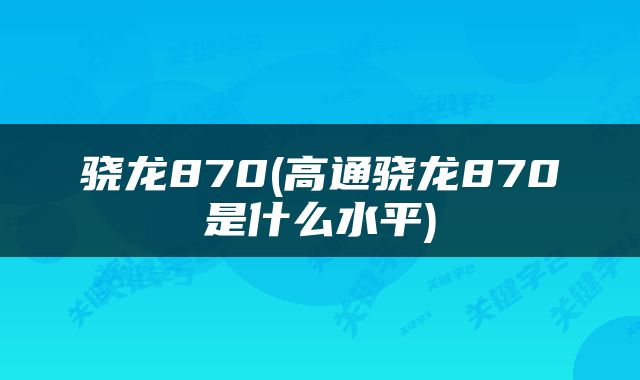 骁龙870(高通骁龙870是什么水平)