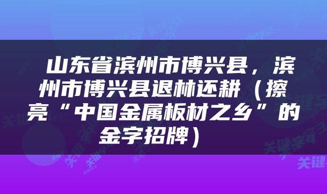  山东省滨州市博兴县，滨州市博兴县退林还耕（擦亮“中国金属板材之乡”的金字招牌） 