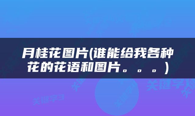 月桂花图片(谁能给我各种花的花语和图片。。。)