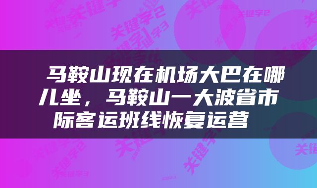  马鞍山现在机场大巴在哪儿坐，马鞍山一大波省市际客运班线恢复运营 
