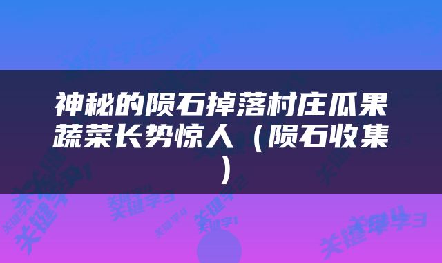 神秘的陨石掉落村庄瓜果蔬菜长势惊人（陨石收集）