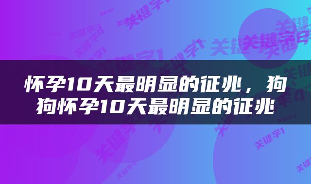 怀孕10天最明显的征兆，狗狗怀孕10天最明显的征兆