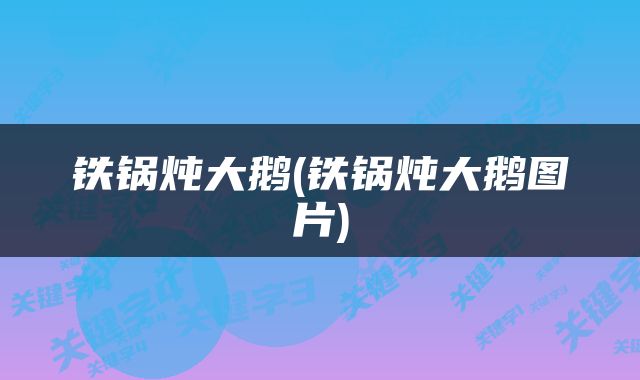 铁锅炖大鹅(铁锅炖大鹅图片)