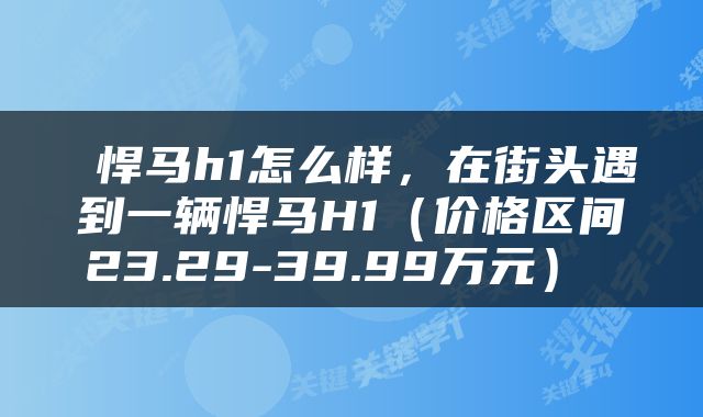  悍马h1怎么样，在街头遇到一辆悍马H1（价格区间23.29-39.99万元） 