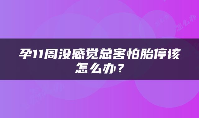 孕11周没感觉总害怕胎停该怎么办？