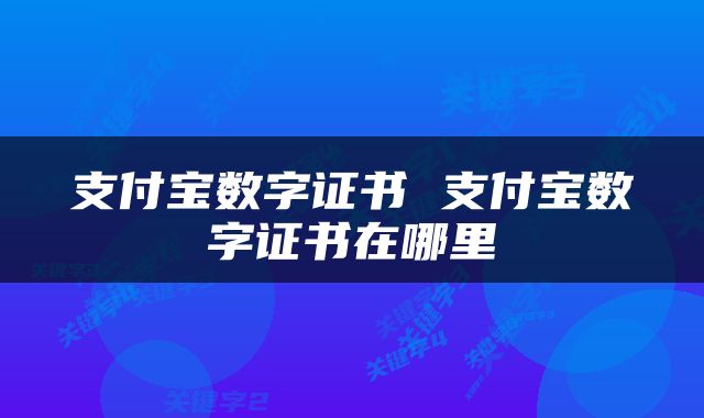 支付宝数字证书 支付宝数字证书在哪里