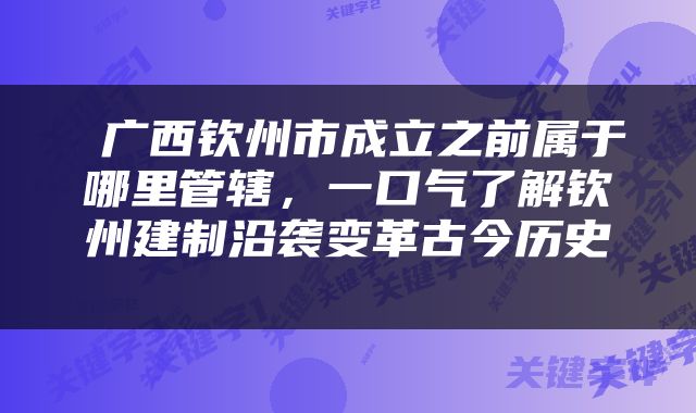  广西钦州市成立之前属于哪里管辖，一口气了解钦州建制沿袭变革古今历史 