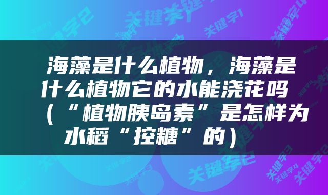  海藻是什么植物，海藻是什么植物它的水能浇花吗（“植物胰岛素”是怎样为水稻“控糖”的） 