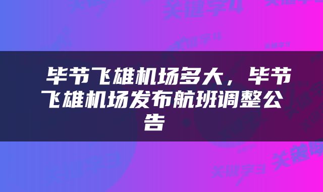  毕节飞雄机场多大，毕节飞雄机场发布航班调整公告 