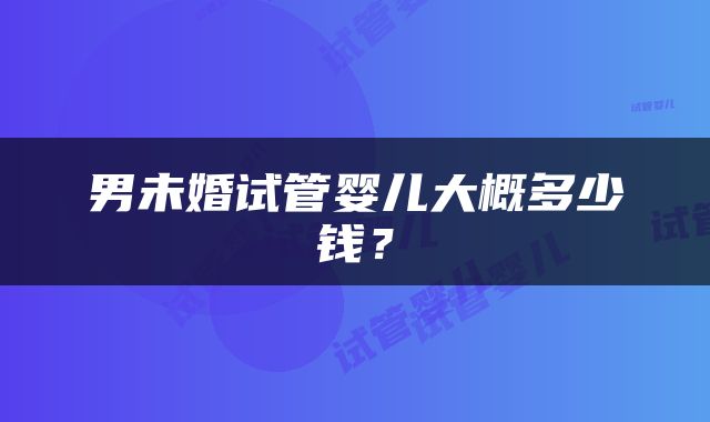 男未婚试管婴儿大概多少钱？