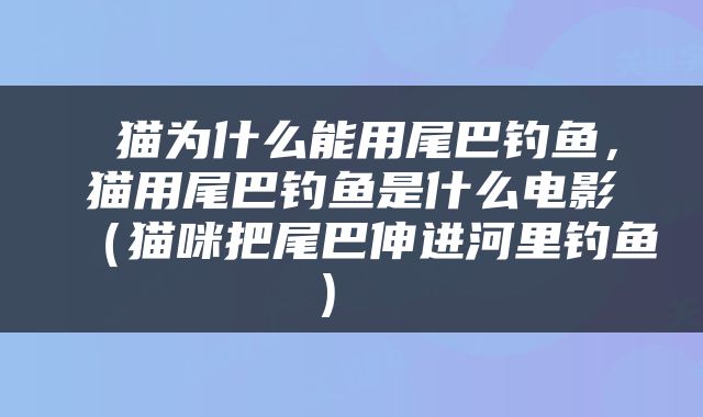  猫为什么能用尾巴钓鱼，猫用尾巴钓鱼是什么电影（猫咪把尾巴伸进河里钓鱼） 