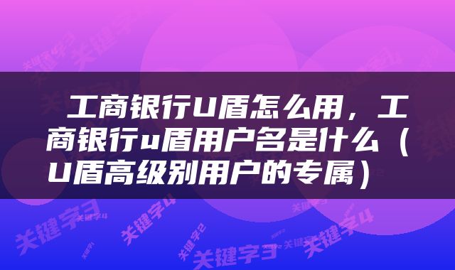  工商银行U盾怎么用，工商银行u盾用户名是什么（U盾高级别用户的专属） 