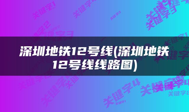 深圳地铁12号线(深圳地铁12号线线路图)